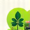 Eco-friendly food delivery icon