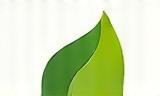 The Vegan Bowl logo